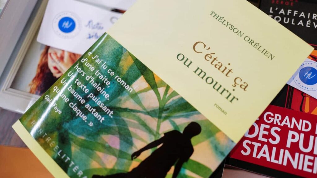 French literary prize drops acclaimed novel amid AI controversy