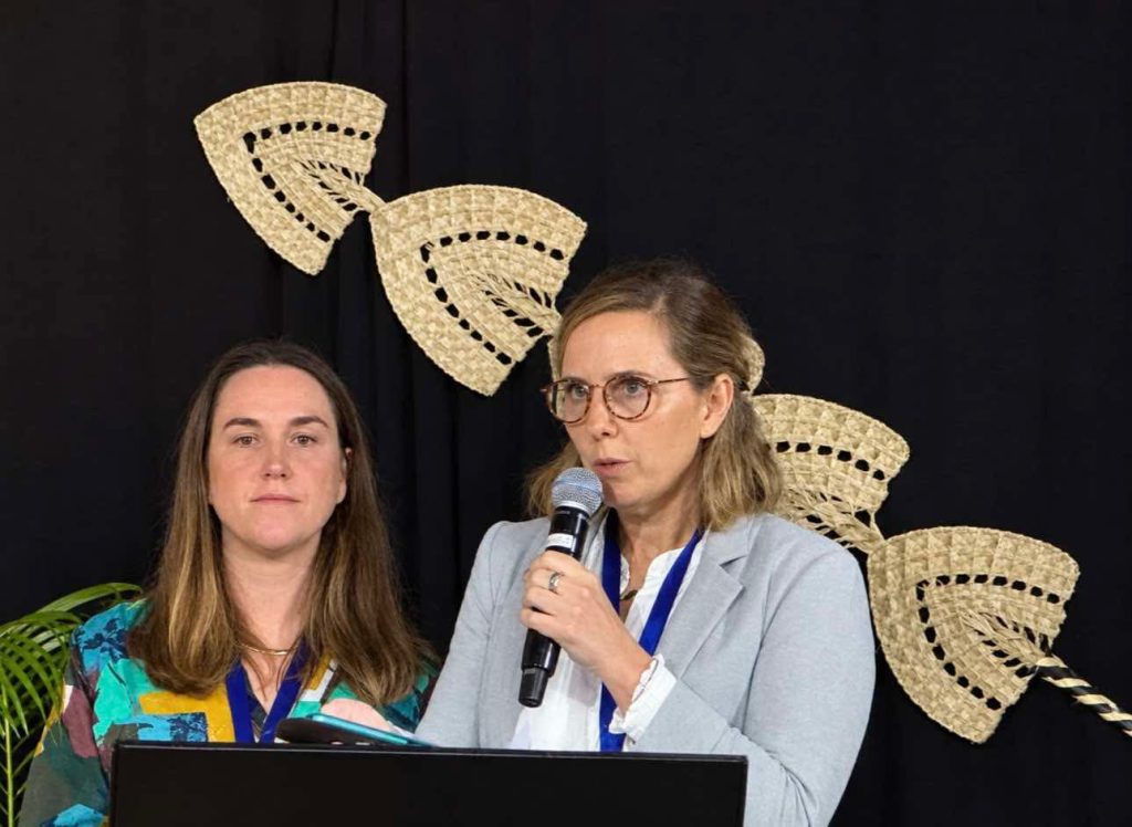 Build, don’t chase AI – The Fiji Times